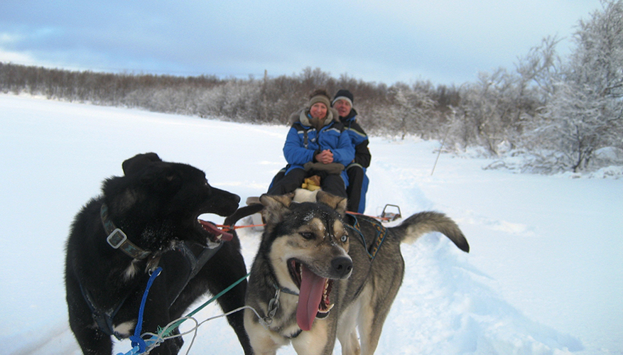 Dog sledding - Tromso Norway